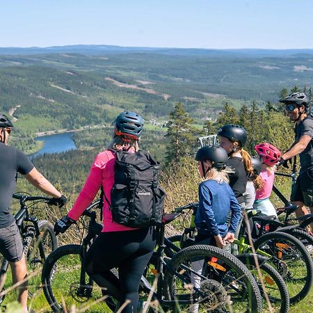 Lyxig Stuga Pa Branaesberget Syssleback Екстер'єр фото